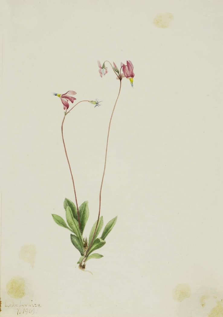 Exhibit image