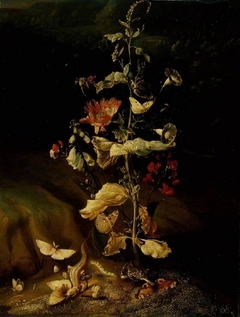 Still life with flowers by Otto Marseus van Schrieck