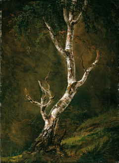 Study of a Birch Tree by Johan Christian Dahl