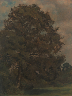 Study of an Ash Tree by Lionel Bicknell Constable