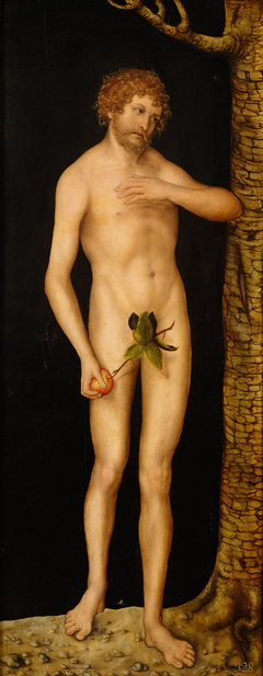 The Fall of Man: (Adam) by Lucas Cranach the Elder