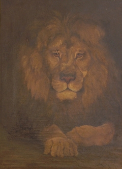 The Lion by Julia Wernicke