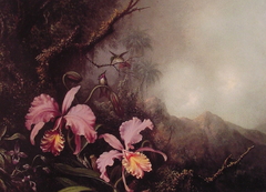 Two Orchids in a Mountain Landscape by Martin Johnson Heade