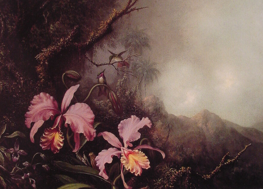 Exhibit image