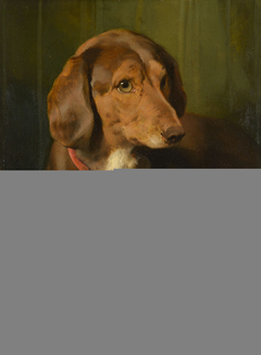 Waldmann by Edwin Henry Landseer