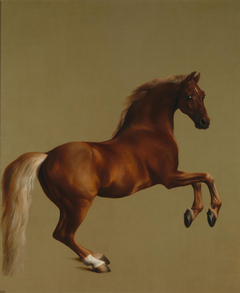 Whistlejacket by George Stubbs