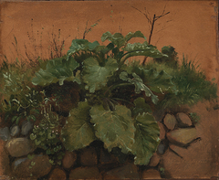 A Burdock and Other Plants on a Stone Wall by Johan Lundbye