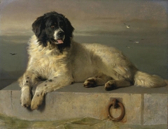 A Distinguished Member of the Humane Society by Edwin Henry Landseer