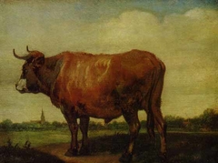 A Red Ox Standing by Paulus Potter