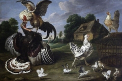 Barnyard Scene: a Cock attacking a Turkey  to defend a Hen and her Chicks by Anonymous