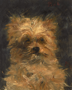 Bob, chien griffon by Edouard Manet