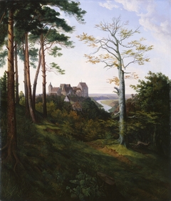 Colditz Castle by Ernst Ferdinand Oehme