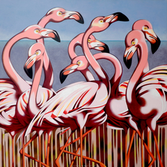 Flamingos by federico cortese