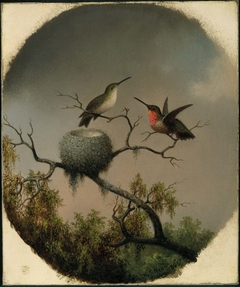 Hummingbirds with Nest by Martin Johnson Heade