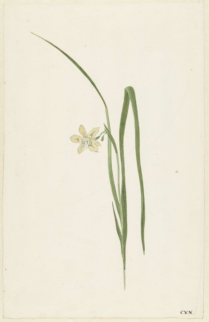 Exhibit image