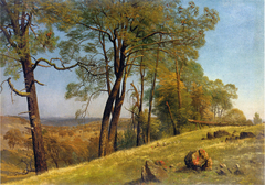 Landscape, Rockland County, California by Albert Bierstadt