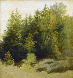 Landscape, Study in Oil by Barend Cornelis Koekkoek