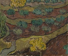 Olive Trees on a Hillside by Vincent van Gogh