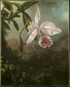 Orchid Blossoms by Martin Johnson Heade