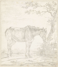 Paard, staande bij een boom by Johannes Christiaan Janson