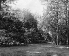 Park with Tall Trees by Theodor Philipsen