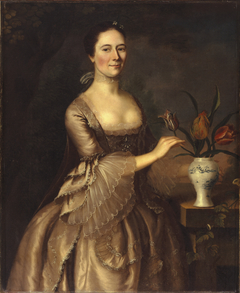 Portrait of a Woman by Joseph Blackburn