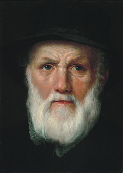 Portrait of Dirck Volckertsz. Coornhert by Cornelis Cornelisz. van Haarlem