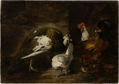 Poultry Yard with Peacock and Peahen by Mario Nuzzi