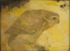 Roofvogeltje op tak by Jan Mankes