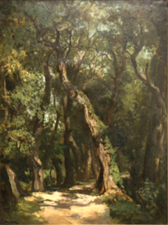 Sous-bois à Sainte-Marguerite by Raphaël Luc Ponson