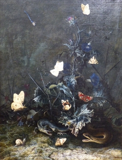 Sous-bois avec papillons autour d'un chardon by Otto Marseus van Schrieck