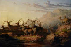 Stags on the Highlands by James Giles