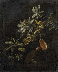 Still Life with Passionflowers by Elias van den Broeck