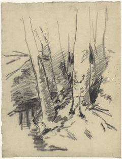 Studie van vier boomstammen by Egbert Rubertus Derk Schaap