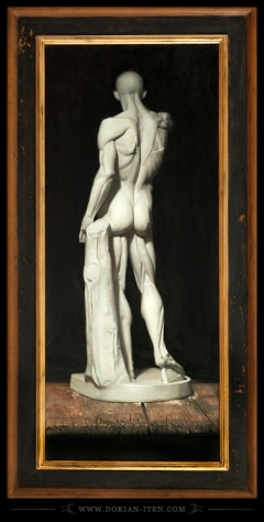 Study of a plaster cast of Houdon's "Écorché" by Dorian Iten