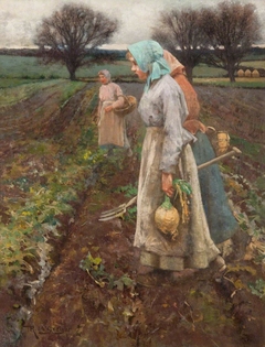 The Turnip Field by Robert McGregor