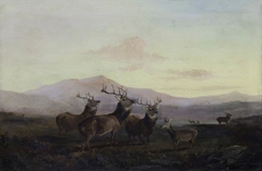 Three Stags with Does in the Highlands by Byron Webb