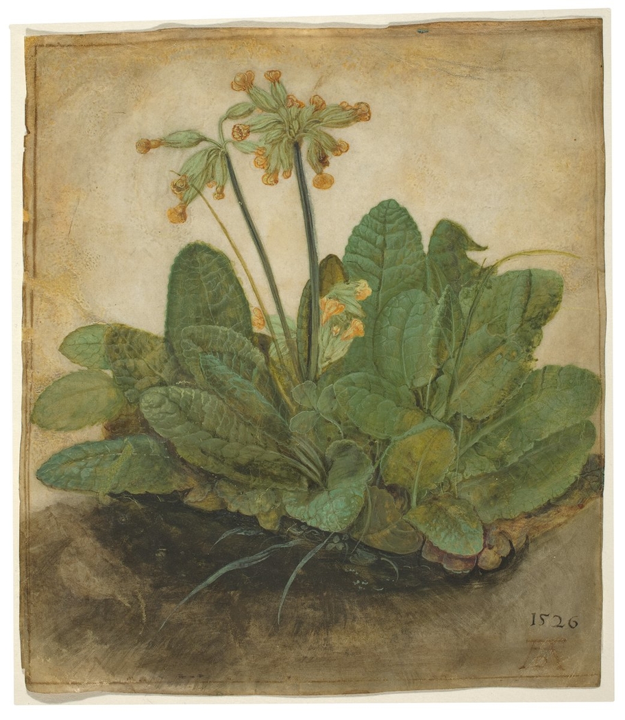 Exhibit image