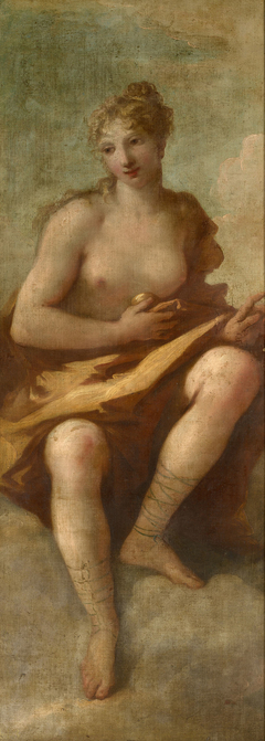 Venus by Giovanni Antonio Pellegrini