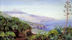 View of the Peak of Teneriffe by Marianne North