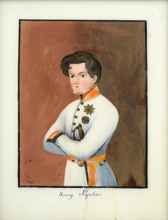 Young Napoleon by Anonymous