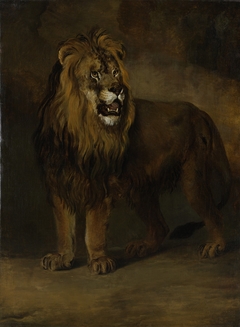 A lion from the Menagerie of King Louis Napoleon, 1808 by Pieter Gerardus van Os