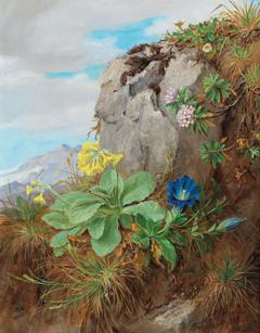 Alpine Flowers by Anna Stainer-Knittel