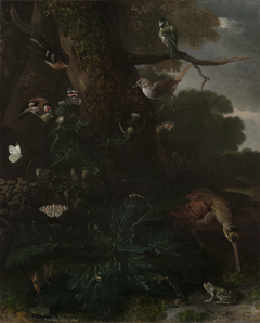 Animals and Plants of the Forest by Melchior d'Hondecoeter