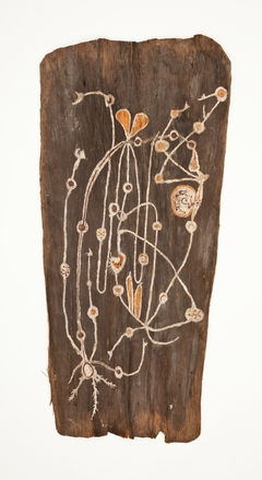 Bark Painting by Anonymous