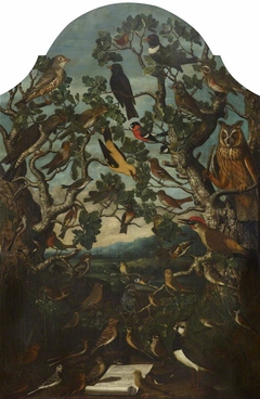 Birds of Britain (Concert of Song Birds in Two Trees, watched by an Owl) by Flemish School