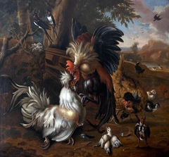 Cock Fight by manner of Melchior de Hondecoeter