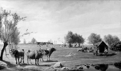 Cows in a Field by Otto Carl Bentzon Haslund