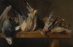 Dead Birds by Elias Vonck