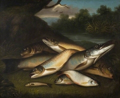 Fish by Moses Haughton the younger